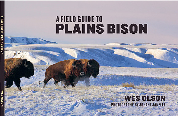 Field Guide to Plains Bison -
