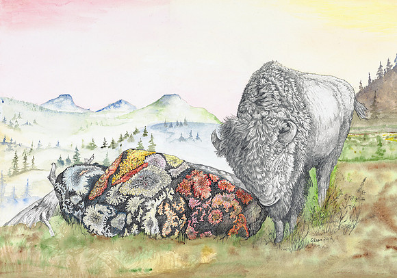 Wake Up Sleeping Buffalo